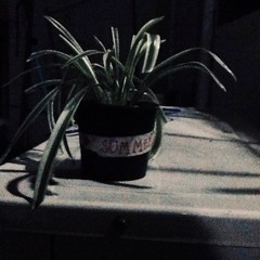 จากวันที่เธอไม่อยู่