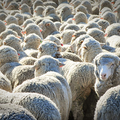 *We're Who We Are* Dark Melodic Hip Hop Instrumental