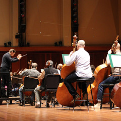 Mozart's Great Concertos: January 8 & 10, 2015