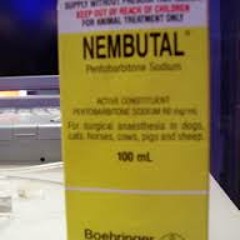 Nembutal