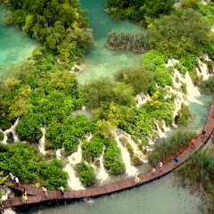 Gravez & Oshi - Sell Soul