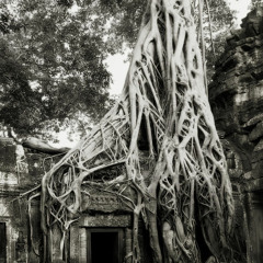 RETRO SKEPTIX - Insomniac (Instrumental)