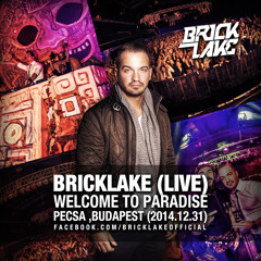 BRICKLAKE (Live) Welcome To Paradise @ Pecsa ,Budapest (2014.12.31)