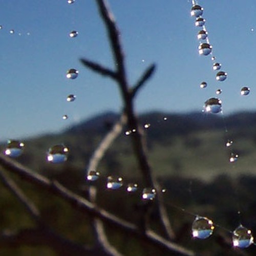 Vibrasphere, Ticon - Dewdrops (Dreaml4nd remix) draft 2