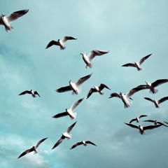 Drapes ft. Chris Lorenzo - This & That (O J - Remix)