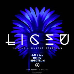 Liceu -  Sebjak & Marcus Schossow (J.N. & A. L. Intro Spectrum )