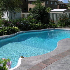kendrick lamar - swimming pool cover