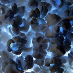 Popcorn Song- 1969 - 2015(Gershon Kingsley) by noisonix