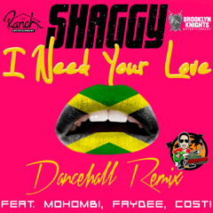 Shaggy - I Need Your Love (Danechall Remix) Feat. Faydee , Mohombi  & Costi - by: Don Corleon