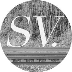 Vinyl Mix #16 Disco