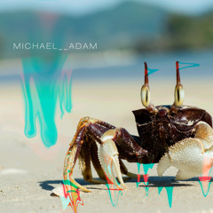 SAND CRAB @ HIGH TIDE