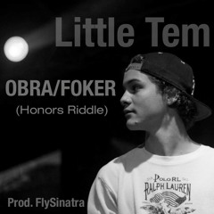 OBRA/FOKER(Honors riddle) - Little Tem