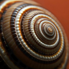 Downtempo/Psy Dub/Glitch Mix