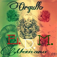 SONIDO KARRUSEL ANIVERSARIO EDM SAN JERONIMO TECUANIPAN #5