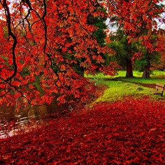 Romantic Piano Instrumental Music - Beautiful Mind