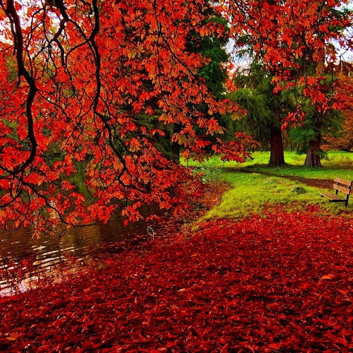 Romantic Piano Instrumental Music - Beautiful Mind
