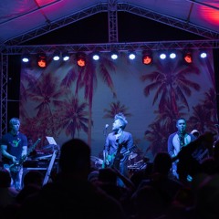 The Hip Abduction @ Jannus Landing 2014