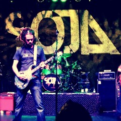 Summer Breeze-Banda Soja