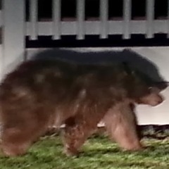 Blue, The Misfit - No Care In The World (nza & czk remix)