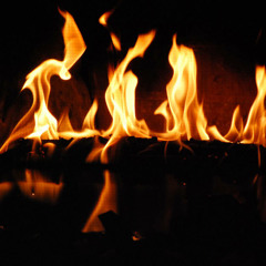 The Rings Tell The Tale