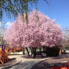 o zaman ben biraz daha koltukta yatayım