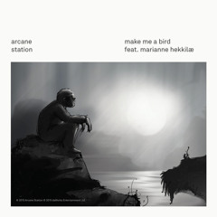 "Make Me a Bird" feat. Marianne Hekkilæ (teaser)
