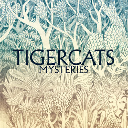 Tigercats - Sleeping In The Backseat