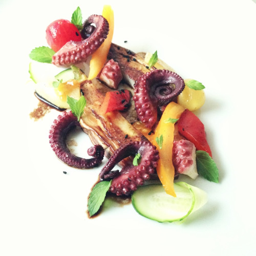 octopus electronic salad with seasonings