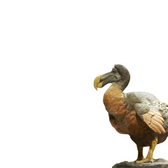 LGBTQ extinctions and exterminations. A Queer Response To Crisis