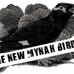 Breakdown - At The Cameron - New Mynah Birds