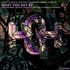 Vijay & Sofia Zlatko, Anas.A & Ammo Avenue - What You Say (Original Mix)
