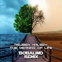 Reuben Halsey - Meaning Of Life (Bobalino Remix) Free Download