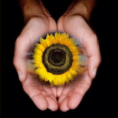 El método Hoponopono