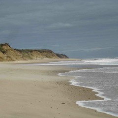 Beast Coast [prod. Bill Coolsby]