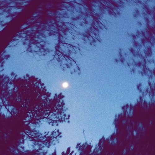 Yesterdays by Jaymod (lyrics by ayrz)