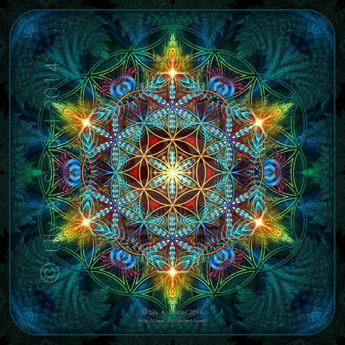 Journy into Psychedelic Hi-Tech