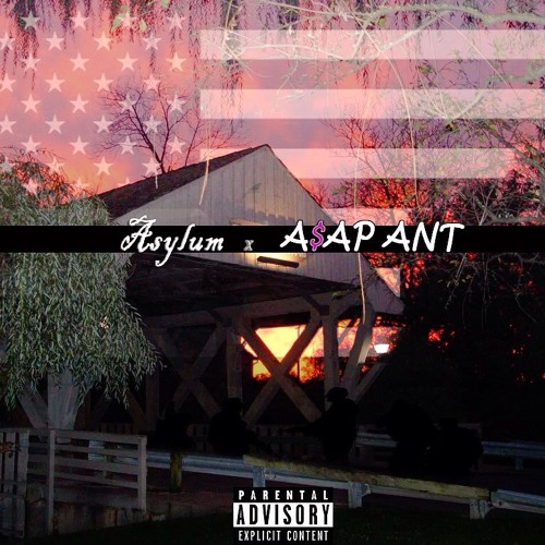 Asylum ( @_Johnibe & @Lostlyrics96 ) x A$AP Ant -Hollows In A Clip
