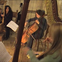 I have no wish to say goodbye part 2...lyre, cello, harp