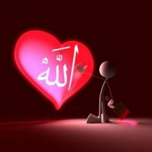 The right way Muhammad Al muqid