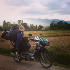 Little Bird_ลัทธิ