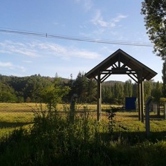 Muerte En Hawaii (Calle 13 Cover)