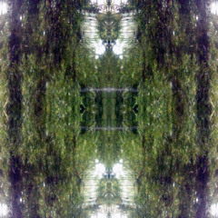 Oosterpark
