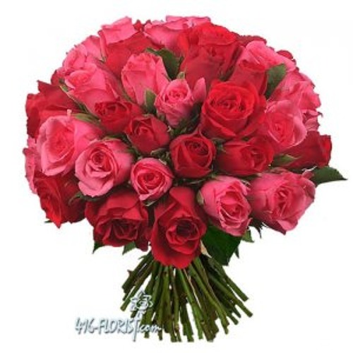 Munhjoo Mulk Malir Waheed Ali Khan