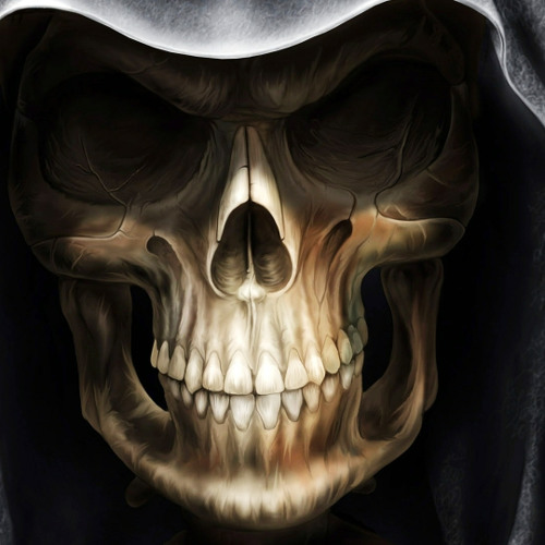 Skrillex and The Doors-breakn a sweat zedd remix(high bass)