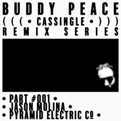 CASSINGLE REMIX 001: JASON MOLINA - Pyramid Electric Co