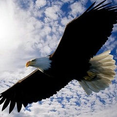 Eagle 's Wings (cover)