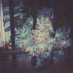 Monsieur Claude - Some Of (raw)