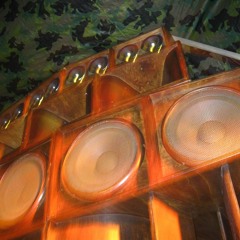 F-F-FILTHY JUNGLE Mixed By HeadSkinJunglayy