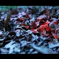 Blood On The Leaves (I.N.F)