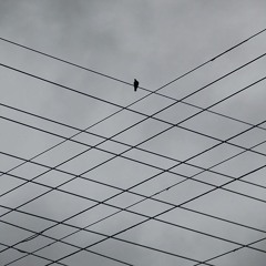 Karaf- Anısındayım ( Edip Cansever )